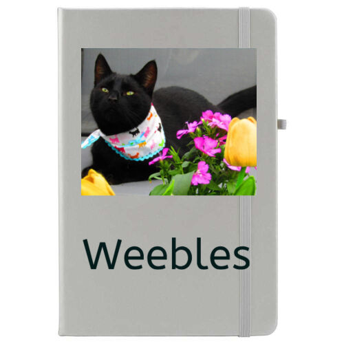 Weebles notebook  Thumbnail